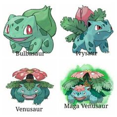 four different types of pokemons with the names in english and japanese characters below them