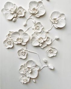some white flowers on a white surface