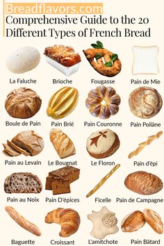 breads guide to the 20 different types of french bread in english, french and spanish