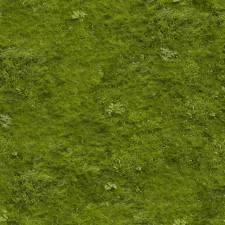 the grass is green and has small white flowers on it, as seen from above