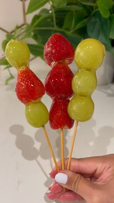 a person is holding some fruit on a stick