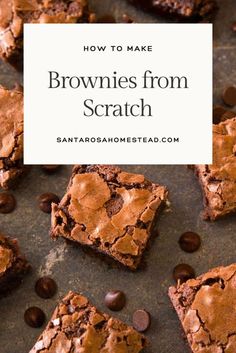 brownies from scratch with chocolate chips on top and the title overlay reads how to make brownies from scratch