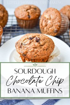 banana muffins sitting on top of a white plate with text overlay that reads sourdough chocolate chip banana muffins