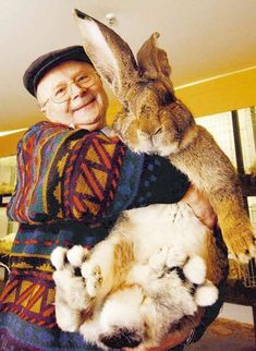 an old man holding a rabbit in his arms and smiling at the camera with text that reads herman can eat a pale of hay per week