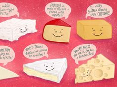 an illustration of different types of cheeses with speech bubbles above them on a pink background