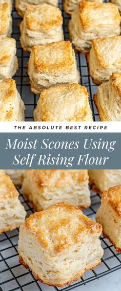 Image for Moist Scones Using Self Rising Flour