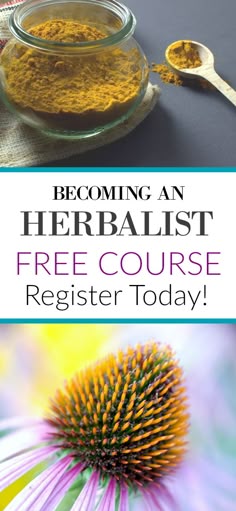 learn about herbs and herbalism