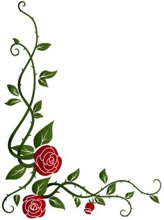 a red rose with green leaves and vines on a white background stock photo - budget conscious