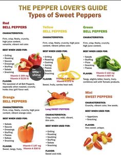 the pepper lover's guide to types of sweet peppers