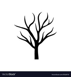 a tree without leaves on a white background