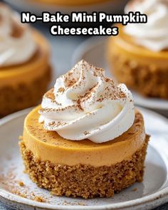 no - bake mini pumpkin cheesecakes on a white plate with whipped cream