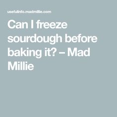 the words can freeze sourdough before baking it? - mad millie on a gray background