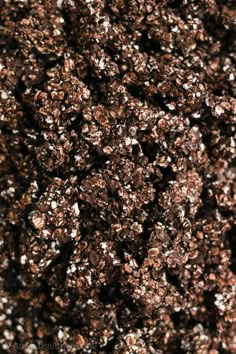 close up view of chocolate and white speckles on top of dark brown ground
