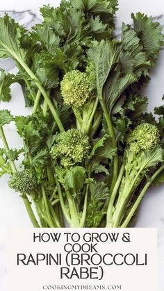 some broccoli is laying on top of a white surface with the words how to grow and cook rapini broccoli rare