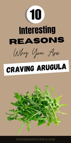 Craving arugula? Enjoy the peppery and fresh taste of arugula in these delicious and nutritious recipes! Health Benefits Of Arugula, Arugula Benefits, Arugula Leaves, Fetal Development, Sugary Food, Nutritional Deficiencies, Bone Health, Personal Health, Health Goals