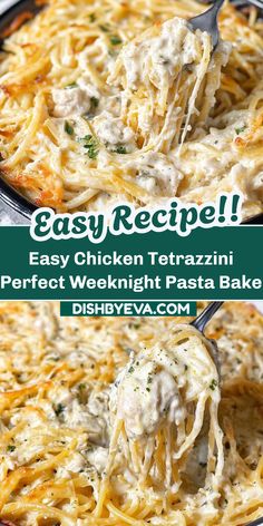 A creamy chicken tetrazzini dish in a baking pan. This comforting pasta bake is a great dinner option for families. It features cheesy pasta.
