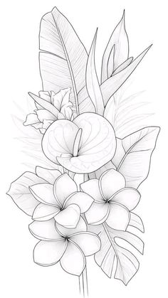 a drawing of flowers and leaves on a white background