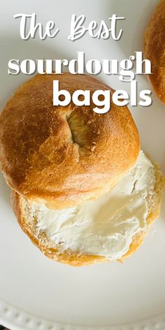 the best sourdough bagels on a white plate