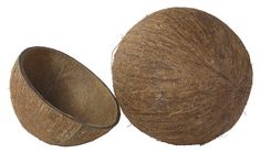two coconuts are sitting next to each other