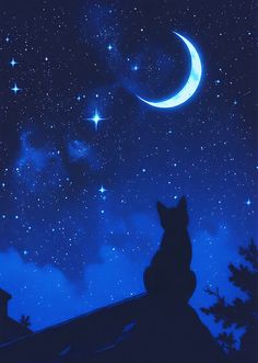 a cat sitting on top of a roof looking at the stars in the night sky