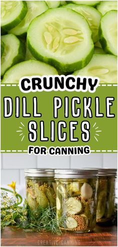 pickles in jars with the title crunchy dill pickle slices for canning