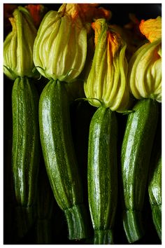 cucumbers are lined up on display for sale