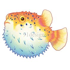 an orange and blue puffer fish with spots on it's body, looking to the