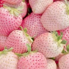 #green #pink #зеленый #strawberry #клубника #розовый #photography #фотография #aesthetic #эстетика #обои #wallpaper #foundalighter Pink And Green Wallpaper, Soft Pink Theme, Pastel Pink Aesthetic, Милые Тексты, Pink Vibes, Ảnh Bìa, Pink Themes, Fluttershy, Green Wallpaper