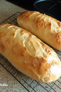 two loaves of bread cooling on a rack