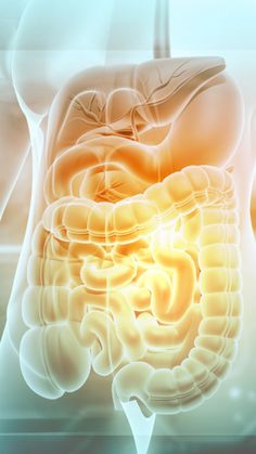 8 reasons to replace sugar with jaggery Digestion Of Protein, Image Of Gut, Small Intestine, Colon Foods Health, Stomach Bacteria, E.coli Bacteria, Suja Detox, Sistema Digestorio, Healthy Colon
