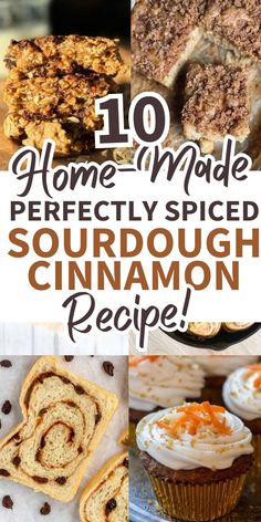 10 homemade perfectly spiced sourdough cinnamon desserts with text overlay that reads, 10 homemadely spiced sourdough cinnamon recipe