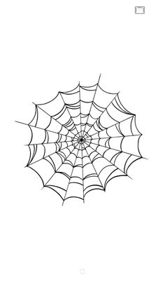 a spider web on a white background