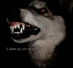 a wolf with its mouth open showing teeth and the words i warn you off my bite