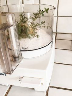 How to Make Thyme Herb-Infused Salt - A Farm to Keep Thyme Salt Recipe, Preserving Thyme, Preserving Fresh Thyme, Thyme Salt, How To Preserve Thyme, Homemade Harvest Herb Salt, Lemon Thyme Salt, Easy Herb Salt Preparation, Thyme And Rosemary Salt