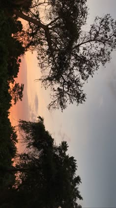 the sun is setting behind some trees