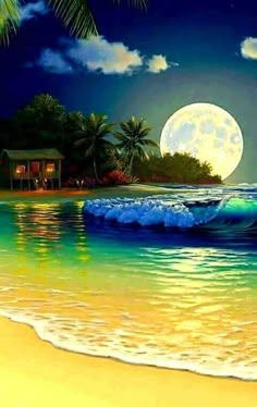 Contém uma imagem de: