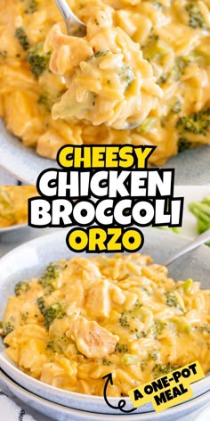 Chicken with broccoli and orzo
