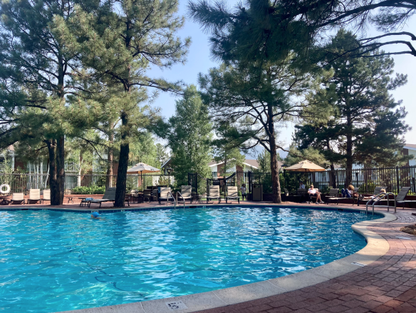 Pool at the Little America