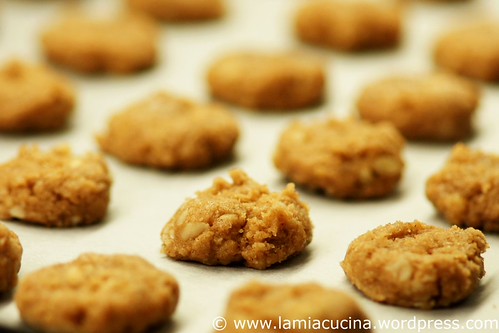 Coburger Schmätzle 2_2011 05 12_3590