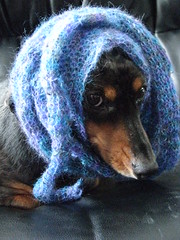 I am a tolerant model.