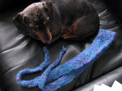 Roughly 3 dachshunds long