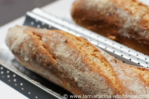 Baguette 0_2011 06 05_4043