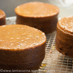 Sachertorte 2014 03 01_3432