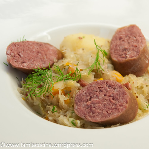 Dill-Sauerkraut 2013 09 25_1778