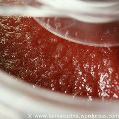 Sangriasorbet 3_2010 08 07_8721