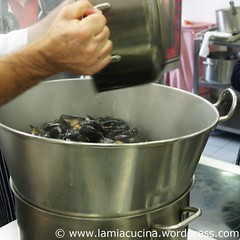 Moules 2_2010 09 14_9304