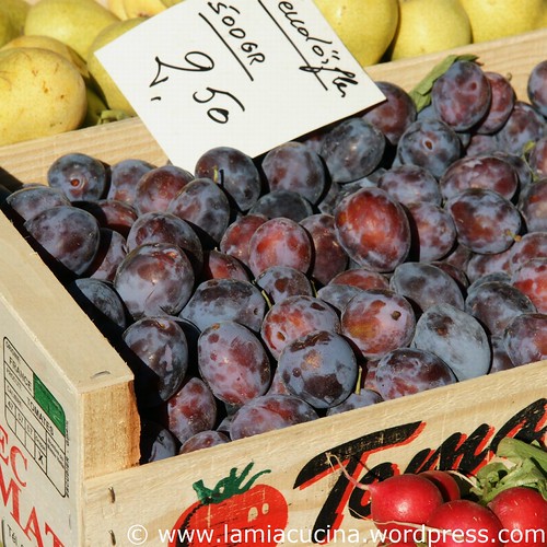 Süss-Saure Zwetschgen 1_2010 08 07_8706