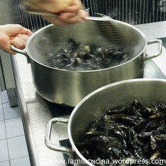 Moules 1_2010 09 14_9303