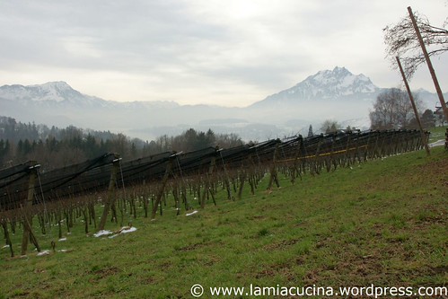 Weinrallye 42 1_2011 02 03_2141