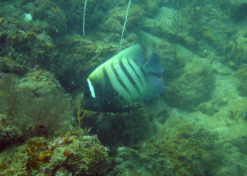 20101215_1060499_adj